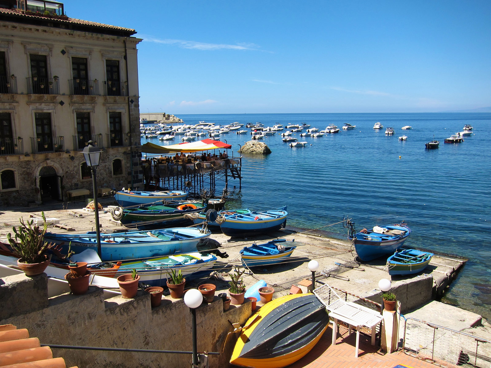 Scilla